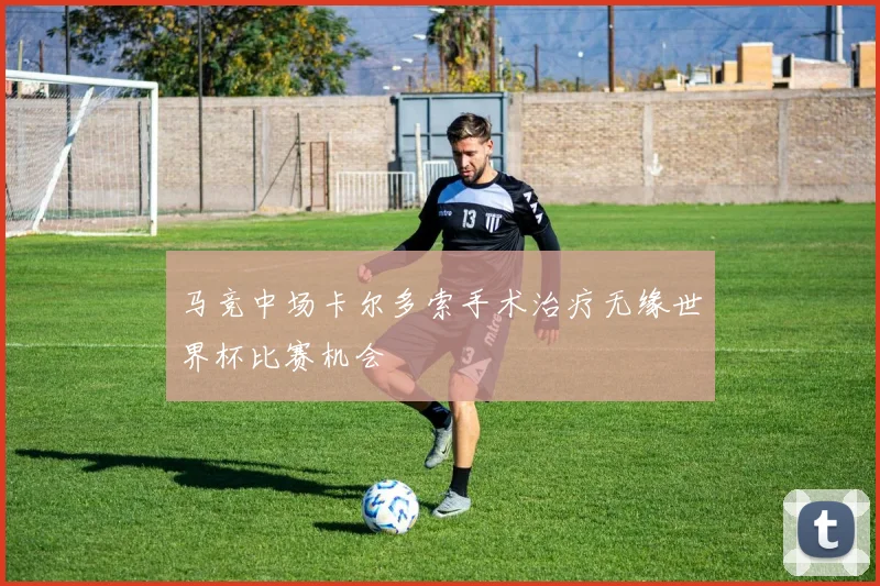 马竞中场卡尔多索手术治疗无缘世界杯比赛机会